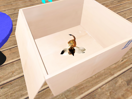 Second Life Marketplace - WW A.I.F Pet Box - 4 MP (ADD)